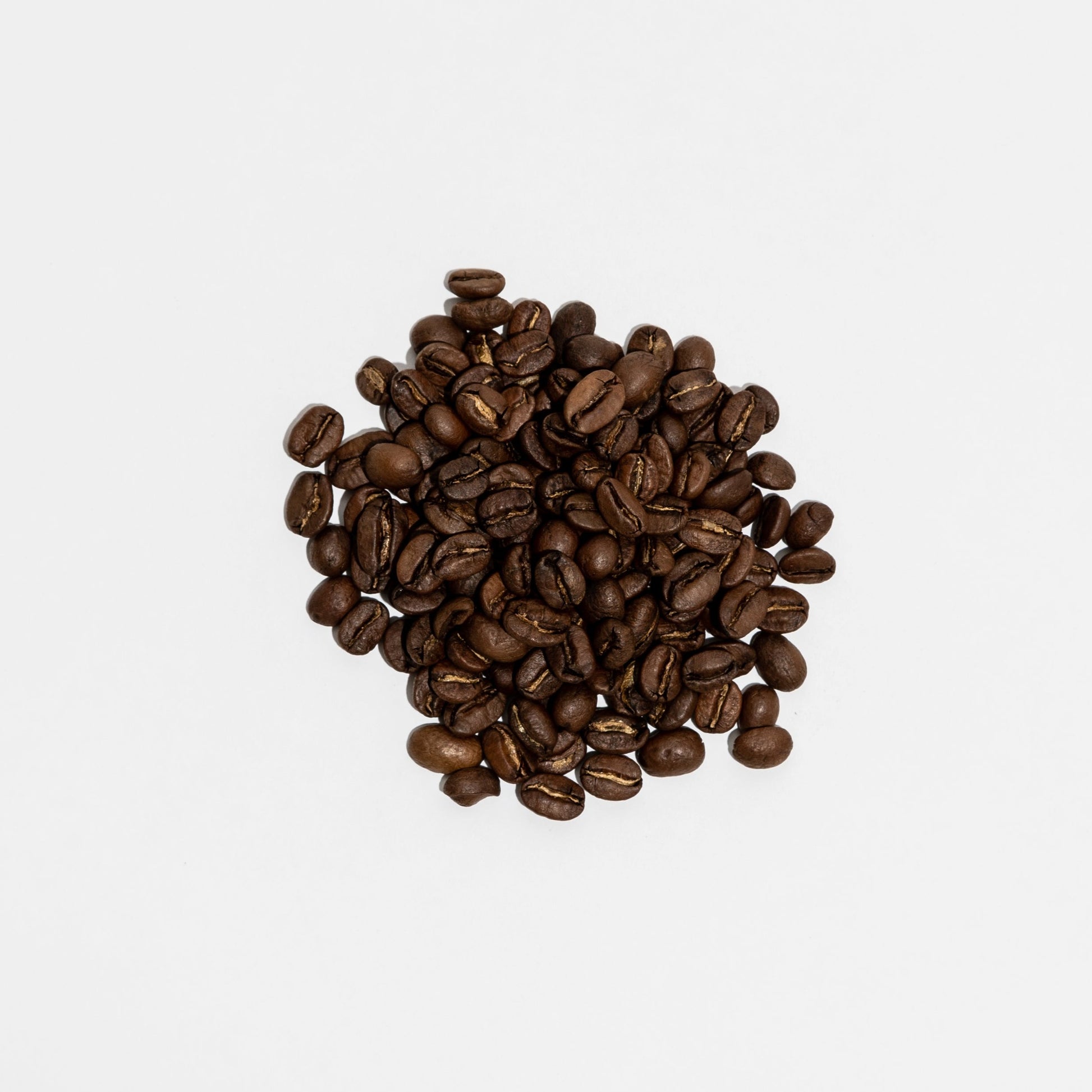 Organic Coffee - Premium Lot - BongoJava.com