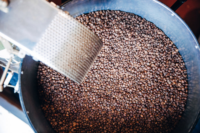 Bongo Roasting Co.