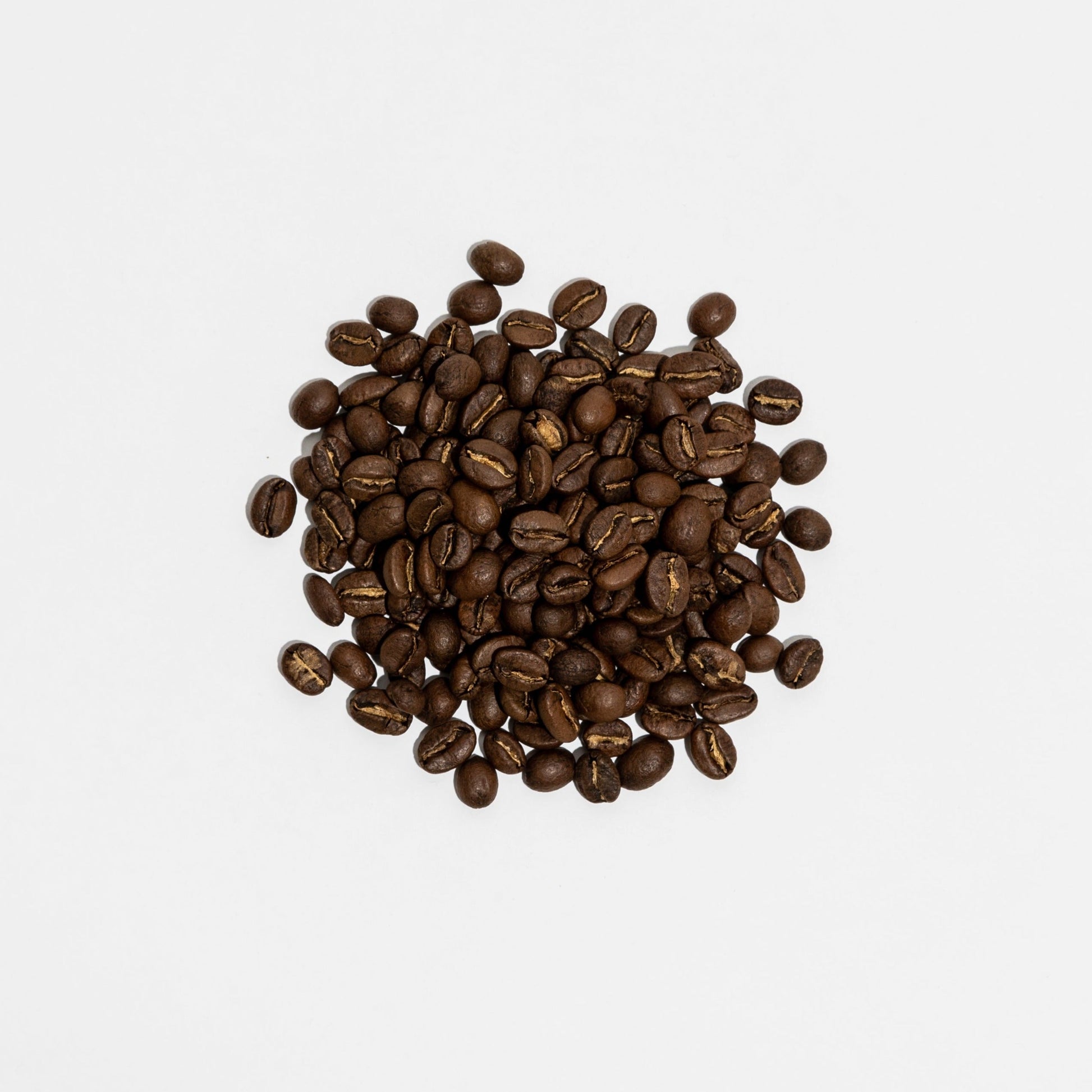 Colombia Fondo Paez - Premium Lot - Bongo Roasting Co.